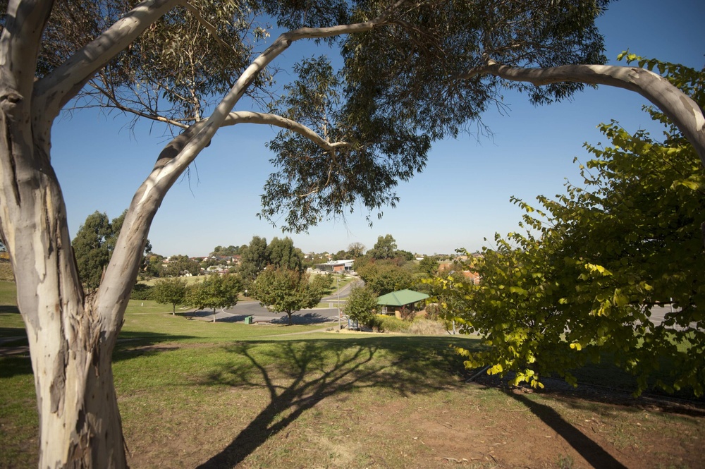 Contact the Foundation