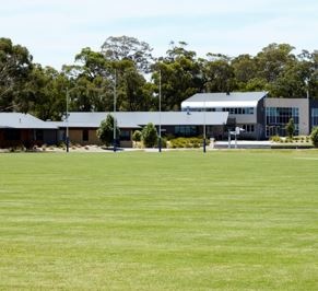 3 Full Sized Sporting Ovals