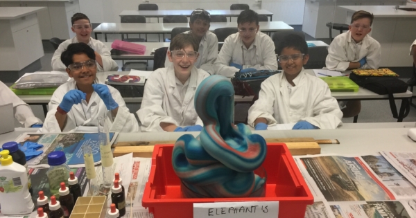 Welcome to Term 2! There must be an elephant in the room! ‘Elephants Toothpaste Demonstration’