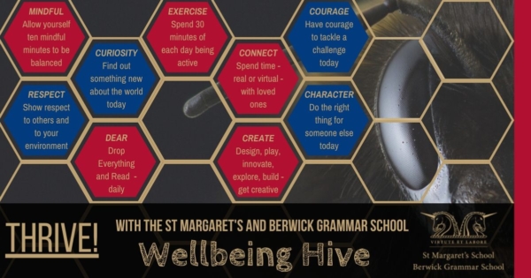 How to Thrive With the Wellbeing Hive