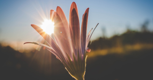 Maintaining Your Mental Health