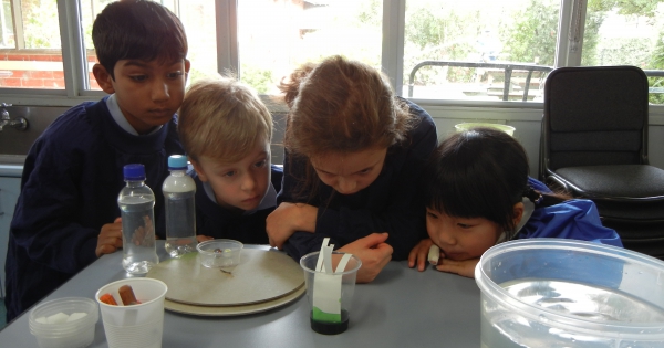 Year 1 Science Incursion